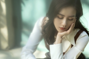 刘诗诗 一手托腮 4k高清美女壁纸