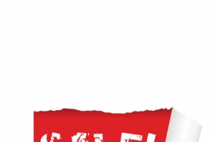 撕纸效果打折标签