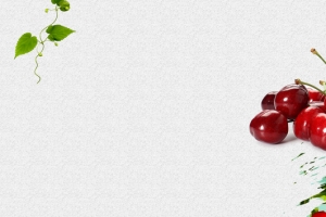 车厘子灰色简约banner