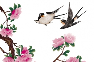 插画喜鹊素材工笔画