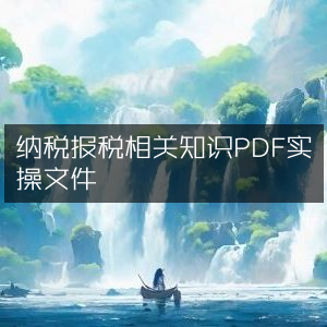 纳税与报税实用指南PDF实操手册