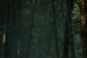 竹林唯美古风美女白鹿4k手机壁纸竖屏