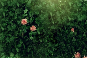 绿色植物海报banner背景