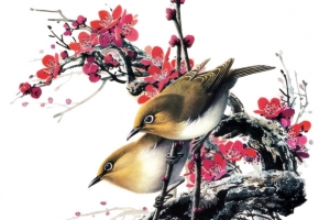 花枝