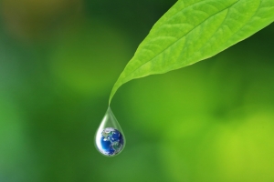 树叶上的水滴地球