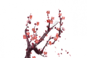 中国风梅花装饰元素