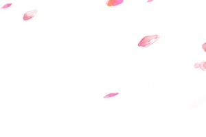 唯美精美水彩桃花树枝花瓣装饰