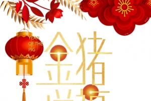 金猪送福金猪贺岁猪年