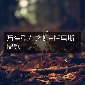万有引力之虹 - 托马斯·品钦 经典自然纪实读物