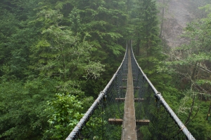 洛根溪吊桥4K高清风景壁纸 3840x2160免费下载