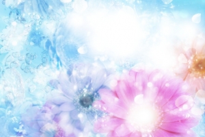 花瓣纹理