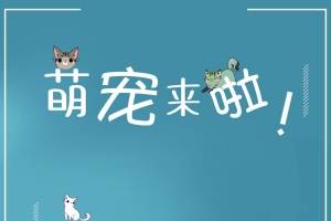 萌宠宠物店促销海报