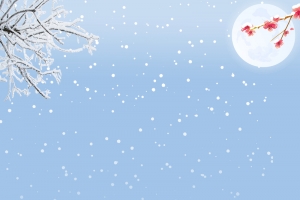 腊梅雪景文艺雪花蓝色banner