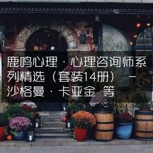 鹿鸣心理·精选心理咨询师系列（14册套装）- 沙格曼·卡亚金等