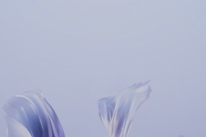华为Pura X紫色花朵手机壁纸