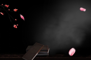 中式阿胶简约黑色花瓣banner