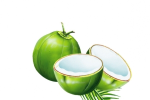 椰子