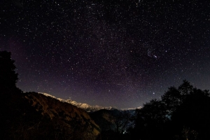 星空 星星 闪耀 夜晚 树木 星空 4k壁纸 3840x2160