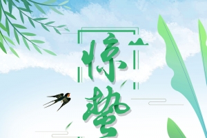 二十四节气之惊蛰节气海报