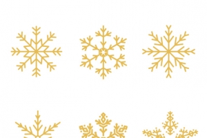 金色雪花矢量图