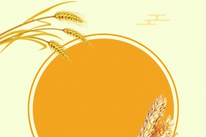 秋天丰收背景模板