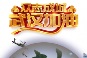 武汉加油，中国加油