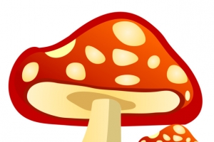 矢量图圆点蘑菇