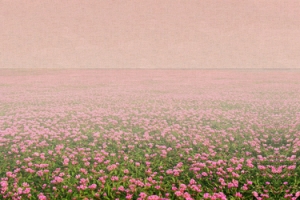 花海花朵海报背景