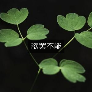 欲罢不能，沉浸式有声书籍体验