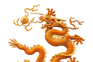 中国龙 木雕龙 金龙戏珠  五指