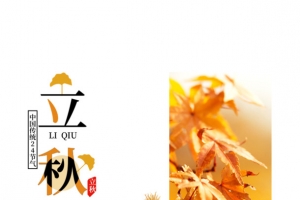 秋天立秋树叶稻草人