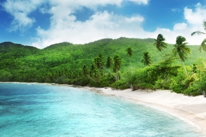 自然风景,海水,沙滩,树,天空背景,高清图片