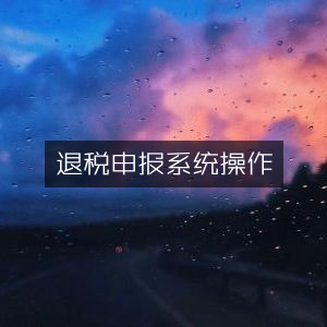 高效退税申报系统操作指南