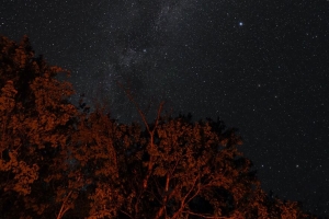 星星 天空 夜晚 树木 背光 深色 4k壁纸 3840x2160
