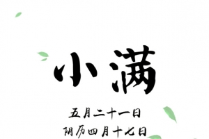 小满节气海报背景图片