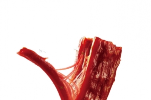 撕开的鸭脖子肉