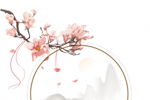 古风桃花花瓣伞