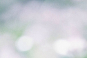 可爱密封紫白花瓣小花