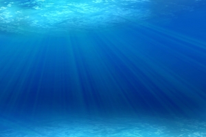 海底世界水下摄影