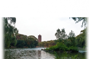 北京大学未名湖