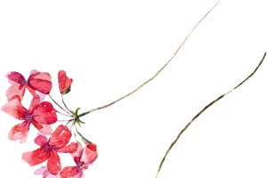 情人节海报植物卡通花朵