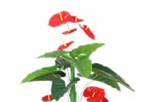 假树古龙红掌仿真植物树