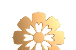 国潮,招财,福气,节日元素