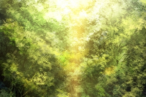 阳光植物绿色唯美