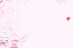 白色情人节浪漫小清新粉色banner