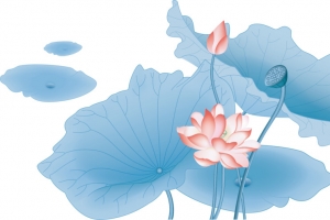 矢量荷花素材