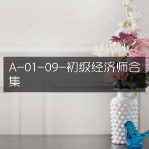 初级经济师资料全集 A-01-09