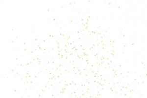 节日碎屑