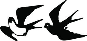 燕子主题预防疾病宣传栏