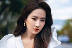 刘亦菲 白色衣服 黑色裤子4k美女手机壁纸